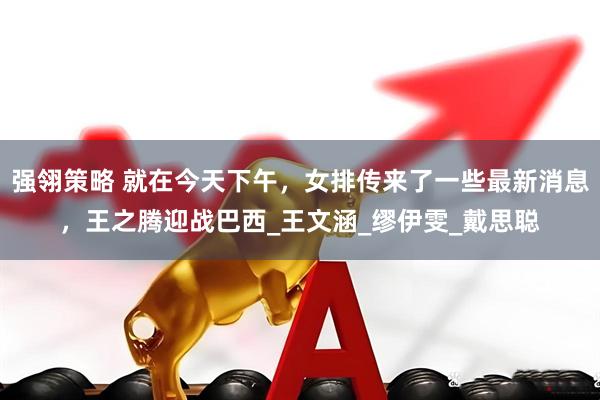 强翎策略 就在今天下午，女排传来了一些最新消息，王之腾迎战巴西_王文涵_缪伊雯_戴思聪