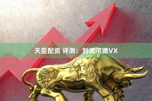 天臣配资 评测：刘波尔德VX